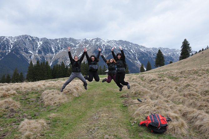 Piatra Craiului National Park Private Hiking Tour from Brasov - Getting from Brașov to the park: a smooth start makes the hike better