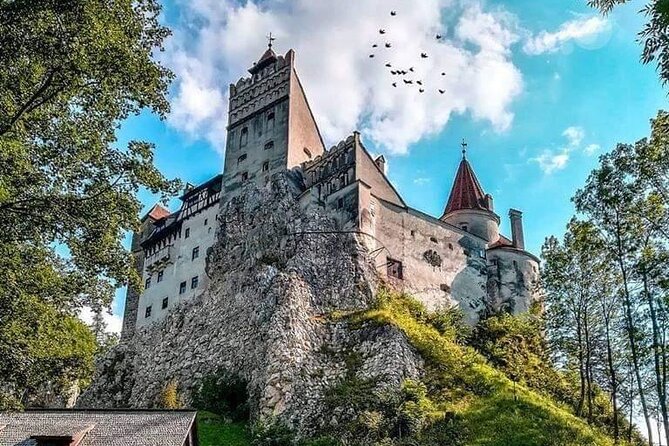 Premium 8-Day Private Culinary Vacation in Romania - Wine country near Ceptura and Buzau, with two vineyard visits