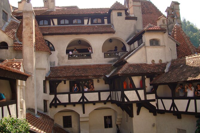 Premium 8-Day Private Culinary Vacation in Romania - Transport, private feel, and how the day stays efficient