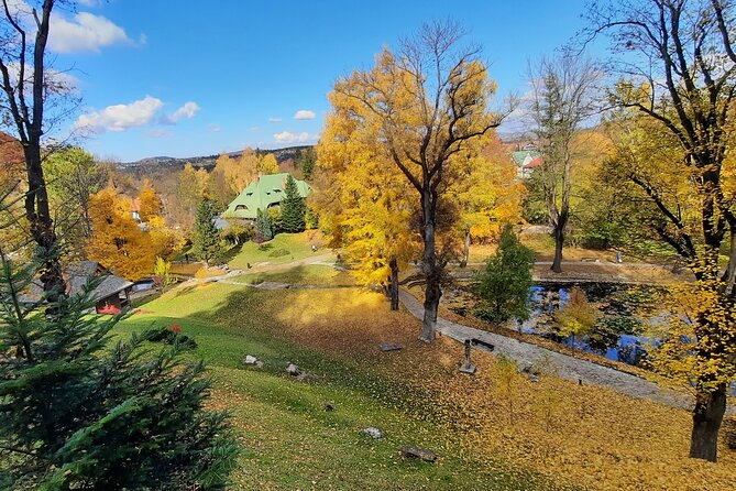 Private Day Tour in Transylvania, Peles and Bran Castles from Brasov - Timing, Lines, and Why Starting at 8:30 am Helps