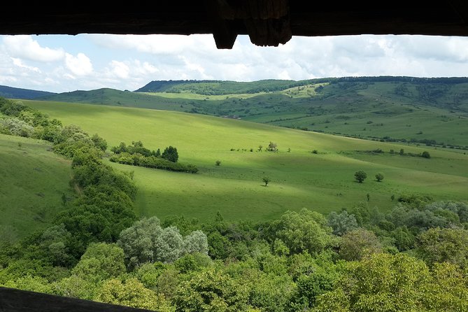 Private Day Tour Sighisoara and Viscri from Brasov with Hotel Pick Up/ Drop Off - Money and time: pricing that makes sense for a full day