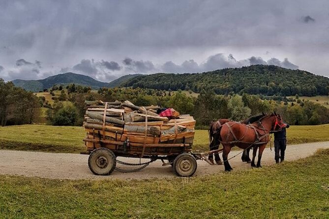 Private Day Tour to Historical Villages in Sinaia - Izvorul Alb and village-center time for real atmosphere