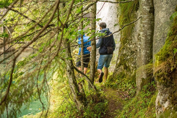 Private Daytrip Hike to Bucegi Mountains - Price and value: what $300.38 buys you