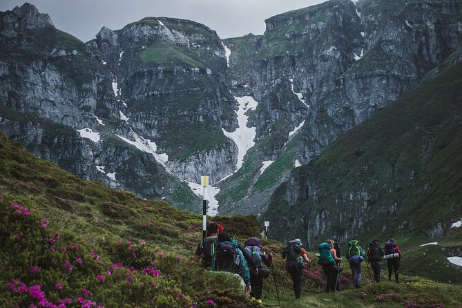 Private Hiking to Bucegi Natural Park from Brasov - Key Highlights That Make This Hike Worth Your Time
