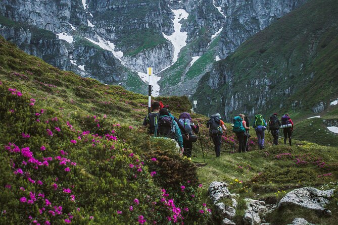 Private Hiking to Bucegi Natural Park from Brasov - Adrian and the Private Guide Advantage: Pace, Plants, and History