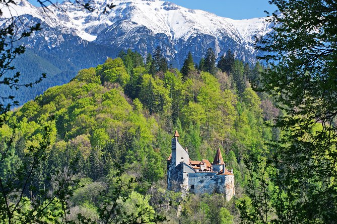 Private Movie Castles at Peles, Cantacuzino and Bran Castle Tour - Key highlights you will actually care about