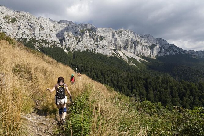 Rambling in Transylvania - Key highlights for your Rambling day