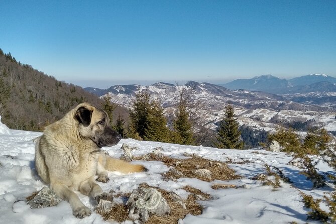 Rambling in Transylvania - Small group and an English guide: what changes when you are not lost in the crowd