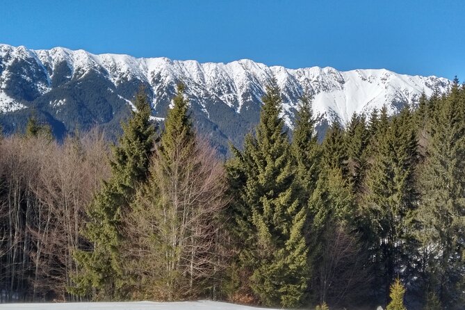 Rambling in Transylvania - Price and value: why 177.52 feels fair for this kind of day