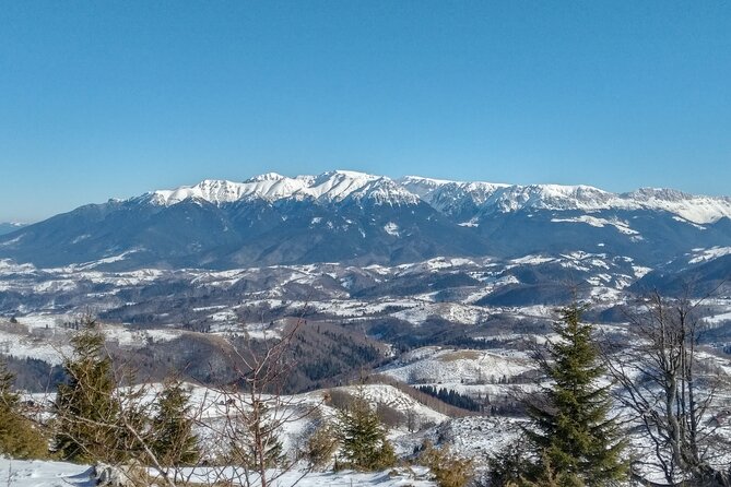 Rambling in Transylvania - Sirnea stop: your first taste of Romanian mountain village rhythm