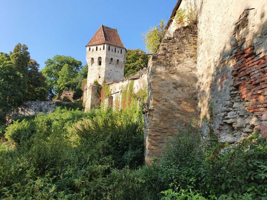 Real Dracula Princely Court and Real Dracula's Fortress - Vidraru Dam: big engineering, guided context, and photo-worthy breaks