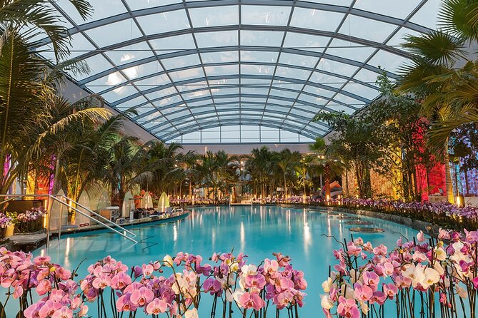 Relax and Fun at Thermal Spa Bucharest (Admission Ticket) - Key points before you buy your Therme Bucharest ticket