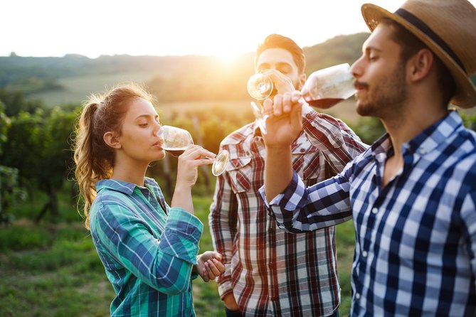 Romanian Wine Tasting - LacertA Winery: production stories you can taste