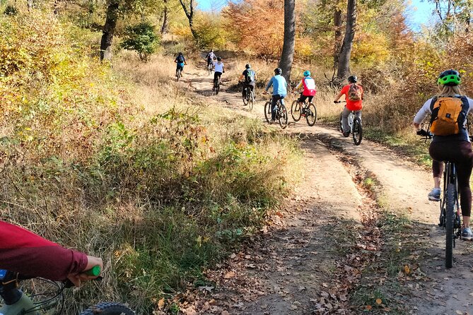 Sambata de Sus: E-Bike Guided Tours - Quick hits before you book
