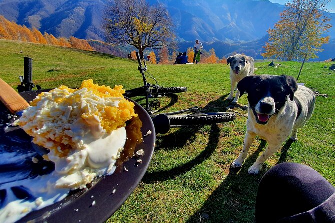 Sambata de Sus: E-Bike Guided Tours - The Făgăraș Mountains stop: views, speed control, and a photo window