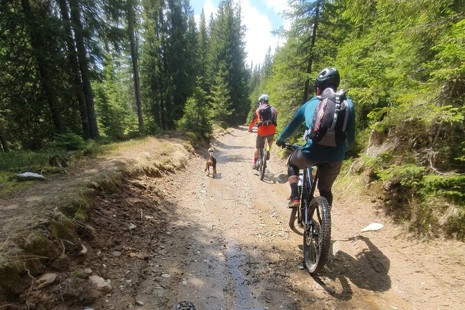 Sambata de Sus: E-Bike Guided Tours - Brancoveanu Monastery: the quiet reset after the ride