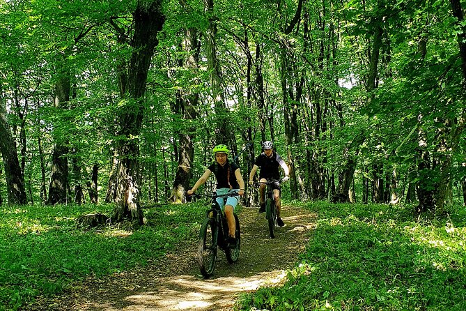 Sambata de Sus: E-Bike Guided Tours - Meeting point, timing, and what “small group” means here