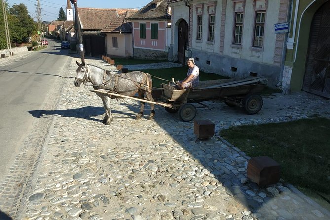 Saxon Heritage in Transylvania: Day Trip from Cluj-Napoca - Sibiel and Fântânele in the afternoon: village life, horse-drawn moments, and glass icons
