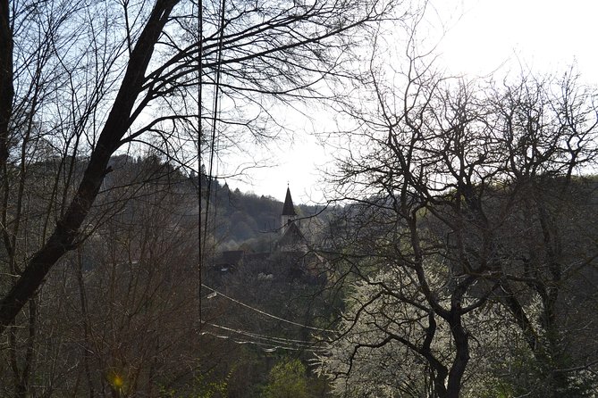 Saxon Heritage in Transylvania: Day Trip from Cluj-Napoca - Transportation, timing, and how to plan your body for 11 to 12 hours