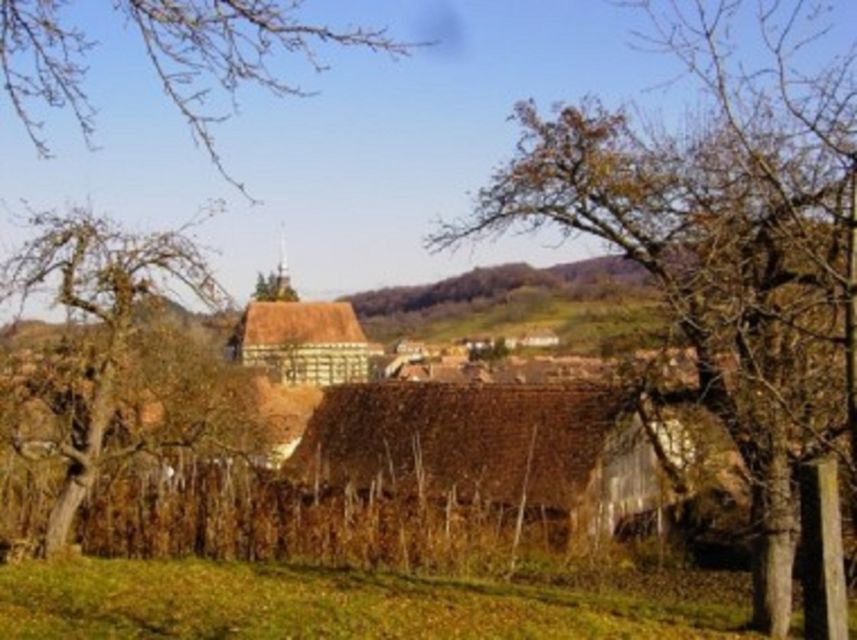 Saxon Secrets: The Malancrav & Biertan Experience - Saxon churches and “frozen time” villages near Sighisoara