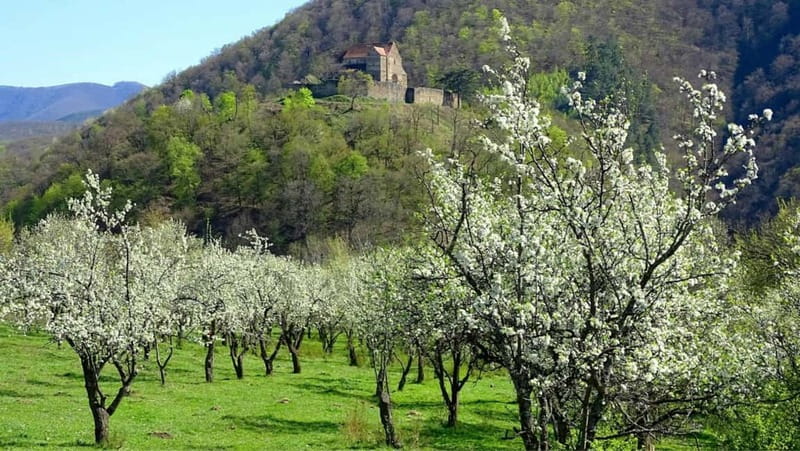 SB13 - Sibiu:Private Half Day Trip to Transylvanian Villages - Before you go: timing, what to bring, and what to expect from the pace