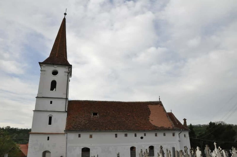 SB13 - Sibiu:Private Half Day Trip to Transylvanian Villages - From Sibiel’s painted icons to village art in real life