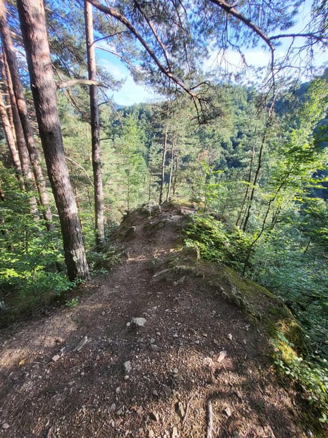 Sibiu: Cindrel Mountains Hike with Traditional Brunch - Key things to know before you go