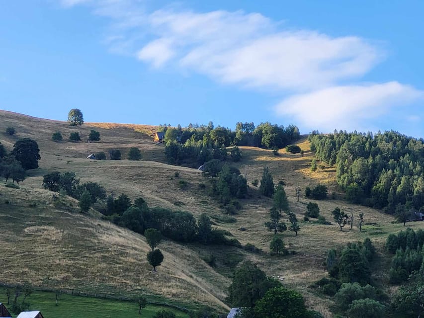 Sibiu: Cindrel Mountains Hike with Traditional Brunch - From Parcare Thalia to Cindrel Mountain trails
