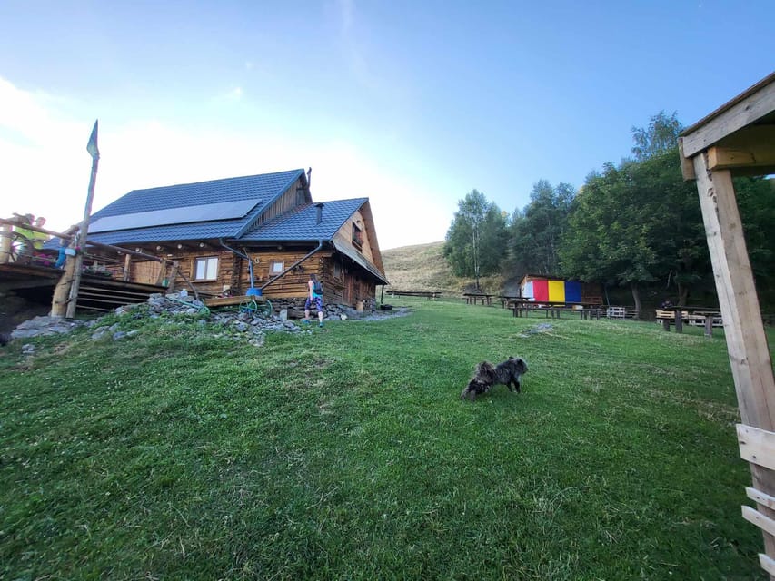 Sibiu: Cindrel Mountains Hike with Traditional Brunch - Who this hike is best for (and who should skip it)