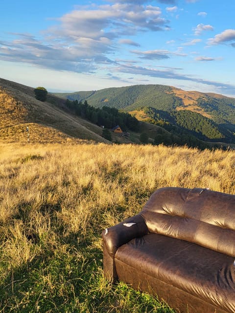 Sibiu: Cindrel Mountains Hike with Traditional Brunch - Should you book this Cindrel Mountains hike with brunch?
