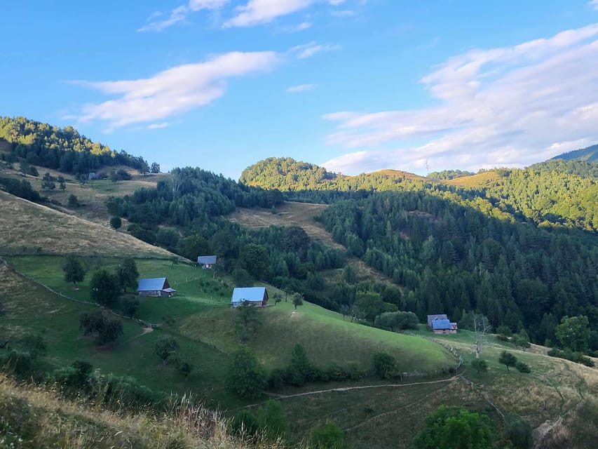 Sibiu: Cindrel Mountains Hike with Traditional Brunch - The hike: 4 to 5 hours of forests, meadows, and real mountain views