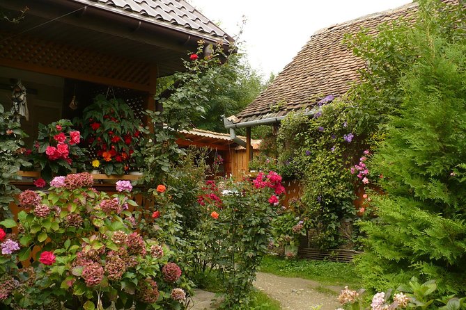 Sibiu Day Trip from Brasov - Morning logistics: pickup, private car comfort, and timing
