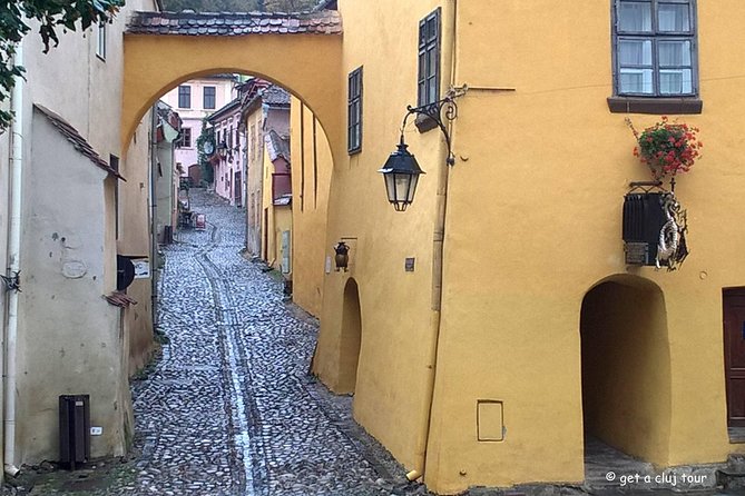 Sighisoara, UNESCO & wine tasting (1 day, from Cluj) - Two time capsules in one long day from Cluj