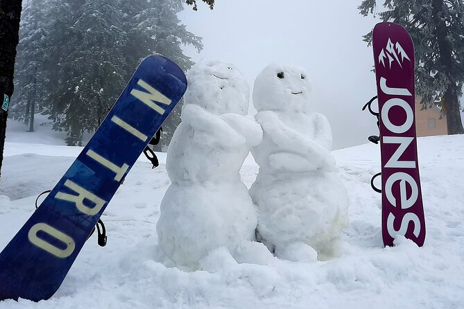 Ski & snowboard lessons on Poiana Brasov- Full Private day tour from Brasov - The return trip and the Belvedere viewpoint stop