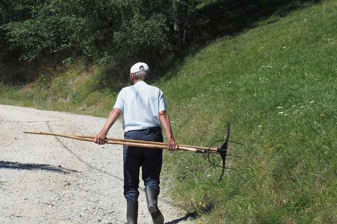 Small-Group Day Trip in Romanian Authentic Mountain Villages from Brasov - Leaving Brasov for Romanian mountain villages, without the stress