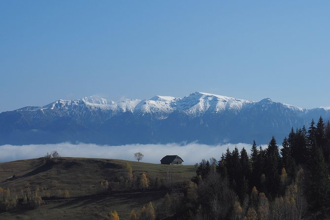 Small-Group Day Trip in Romanian Authentic Mountain Villages from Brasov - Piatra Craiului National Park: the hiking heart of the day