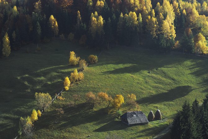 Small-Group Day Trip in Romanian Authentic Mountain Villages from Brasov - Pestera guesthouse lunch: cheese, simple cooking, and mountain hospitality