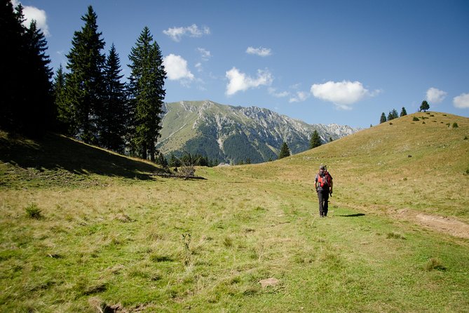 Small-Group Day Trip in Romanian Authentic Mountain Villages from Brasov - How hard is this day trip, and how to prepare like a pro