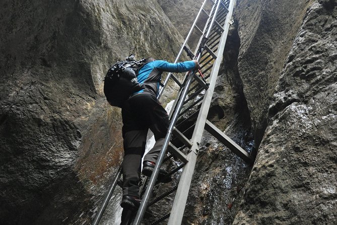 Small-Group Day Trip to the Epic 7 Ladders Canyon from Brasov - Key highlights worth your time