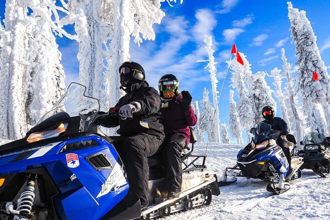 Snowmobiles, Sky Lift & Winter Sports - Private Tour - Why Snowmobiles and a Sky Lift Make Sense From Bucharest