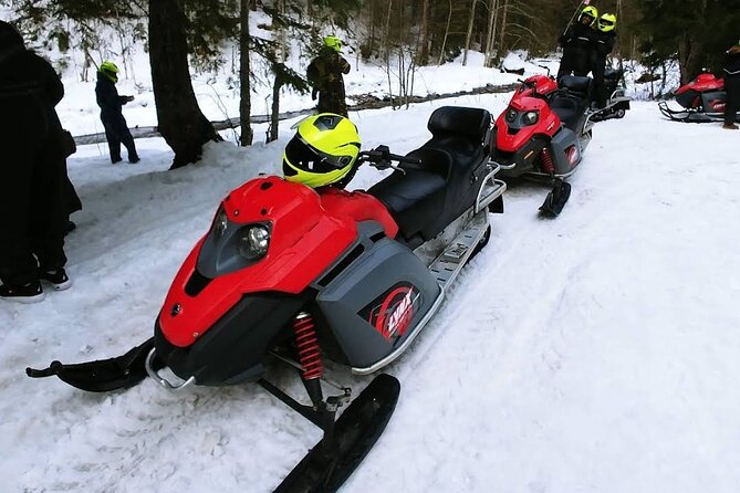Snowmobiles, Sky Lift & Winter Sports - Private Tour - The Forest Ride: Speed, Safety, and Real Expectations