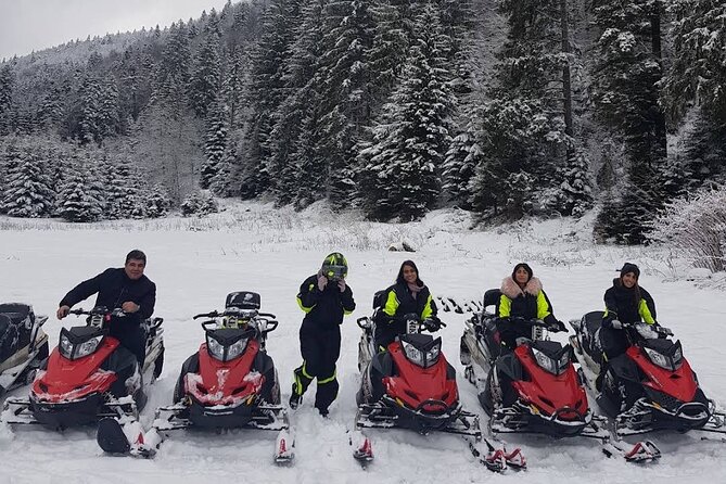 Snowmobiles, Sky Lift & Winter Sports - Private Tour - Guide Quality Makes or Breaks a Winter Day