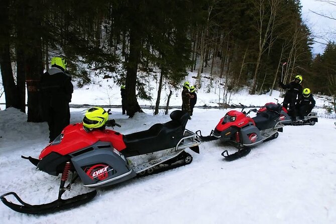 Snowmobiles, Sky Lift & Winter Sports - Private Tour - Who This Private Tour Fits Best (and Who Should Rethink)