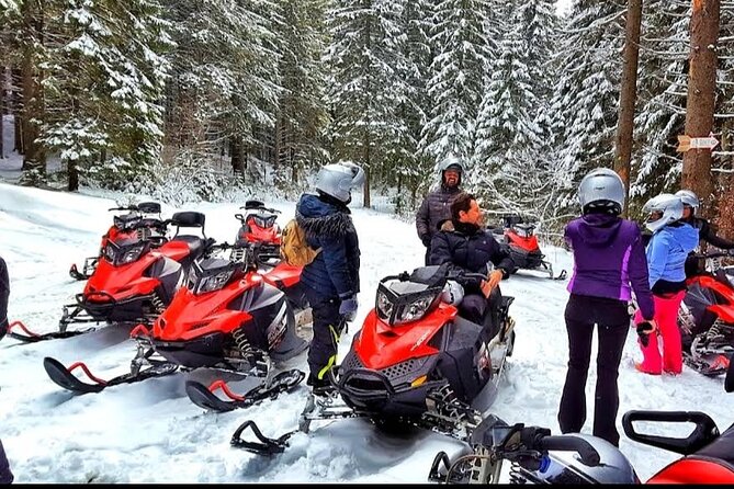 Snowmobiles, Sky Lift & Winter Sports - Private Tour - Booking Timeline, Private Group Style, and What to Bring