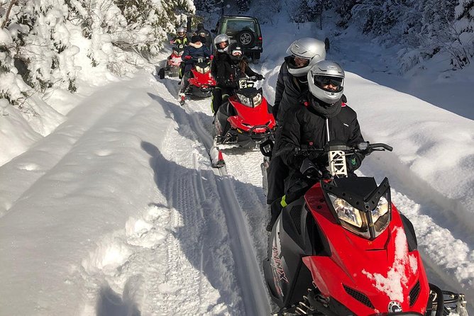 SnowMobiles Tour in Carpathian Mountains - Why This Snowmobile Day Feels Like More Than Just Adrenaline