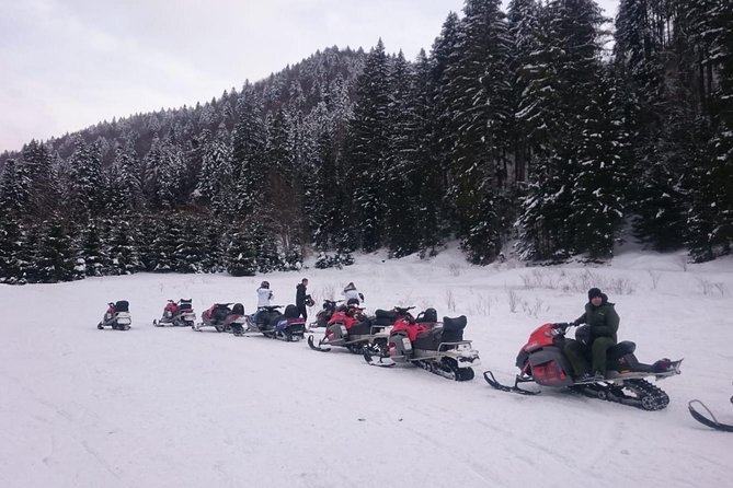 SnowMobiles Tour in Carpathian Mountains - Stop 1, Peles Castle, What You’ll Get Out of the Photo-Friendly Pause