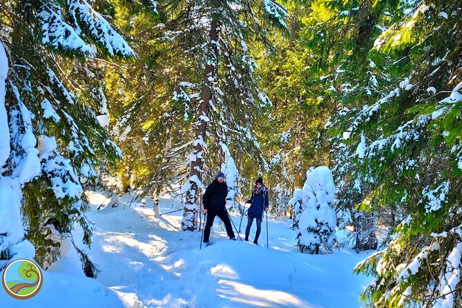 Snowshoeing Fun Tour from Cluj Napoca - The Gear Setup: Snowshoes, Poles, and Your Regular Boots