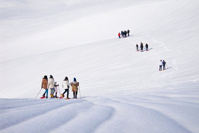 Snowshoeing Fun Tour from Cluj Napoca - Hot Drinks and Planned Stops That Keep the Day Happy