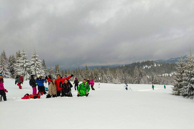 Snowshoeing Fun Tour from Cluj Napoca - Pace and Fitness: What Moderate Really Means on Snow