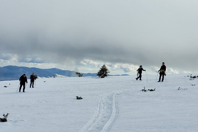 Snowshoeing Fun Tour from Cluj Napoca - Small Group Size in Practice: Up to 15 People